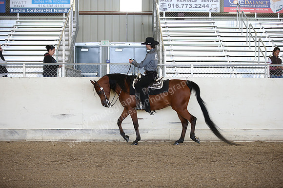 AHANC_Show18_FriPM_1835