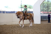 Class 85 HA/AA Western Pl AAOTR Champ