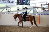 AHANC_Show18_FriPM_1951