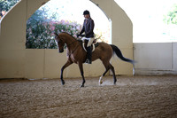 Class 86 HA/AA Hunter Pl Champ Open