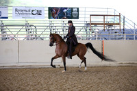 Class 87 HA/AA Country English Pl Champ Open
