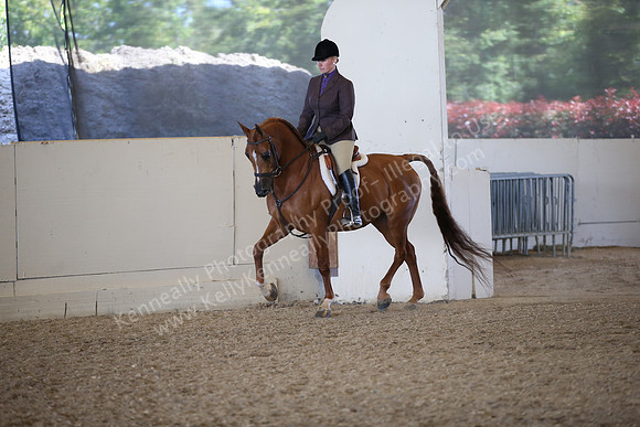 AHANC_Show18_FriPM_2076