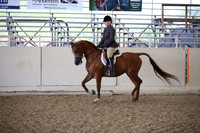 AHANC_Show18_FriPM_2078