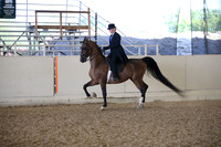 AHANC_Show18_FriPM_1991