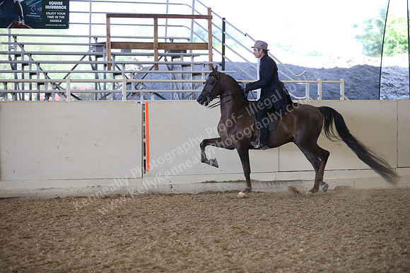 AHANC_Show18_FriPM_1994