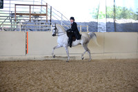 AHANC_Show18_FriPM_1999