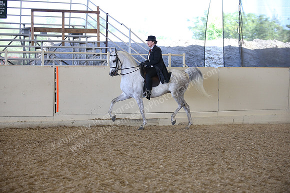AHANC_Show18_FriPM_1999