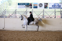 AHANC_Show18_FriPM_2001