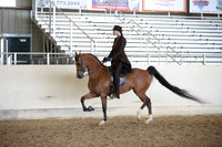 AHANC_Show18_FriPM_2008