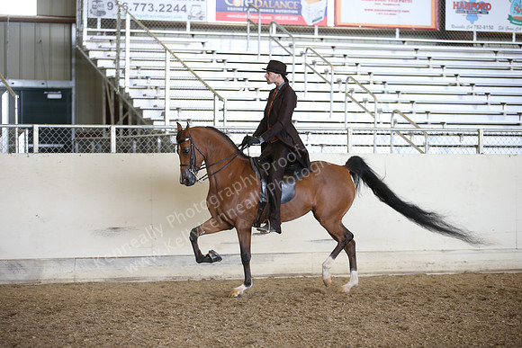 AHANC_Show18_FriPM_2008