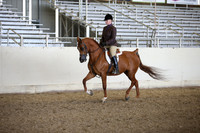 AHANC_Show18_FriPM_2082