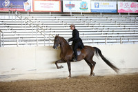 AHANC_Show18_FriPM_2009