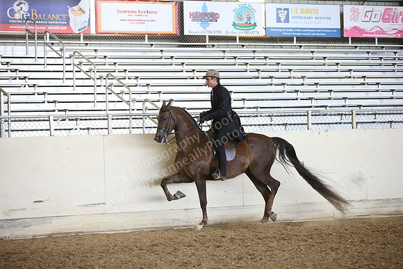 AHANC_Show18_FriPM_2009