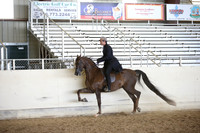 AHANC_Show18_FriPM_2010