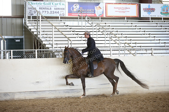 AHANC_Show18_FriPM_2010