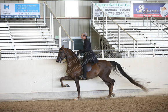 AHANC_Show18_FriPM_2011