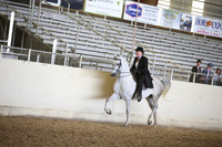 AHANC_Show18_FriPM_2014