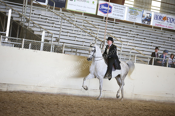 AHANC_Show18_FriPM_2014