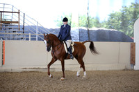 Class 89 Arabian Hunter Pl Open Choice Champ