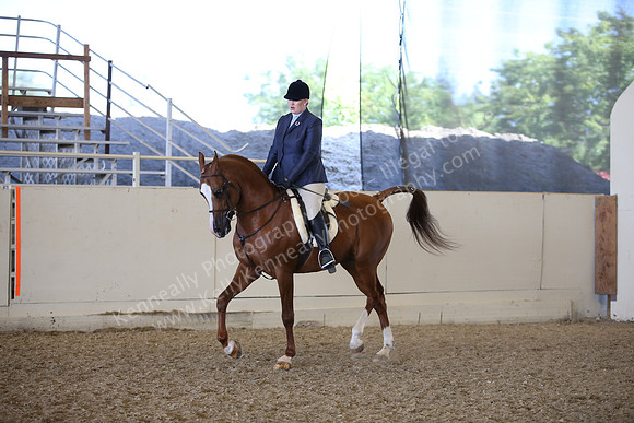AHANC_Show18_FriPM_2100