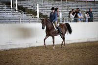 AHANC_Show18_FriPM_2102