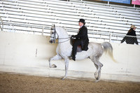 AHANC_Show18_FriPM_2016