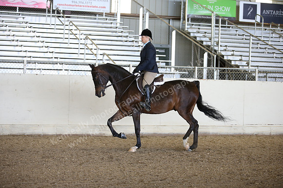 AHANC_Show18_FriPM_2084