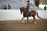 AHANC_Show18_FriPM_2086