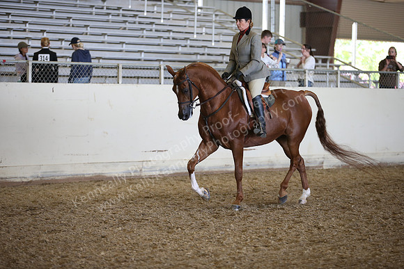 AHANC_Show18_FriPM_2086