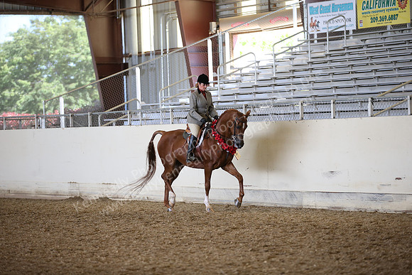 AHANC_Show18_FriPM_2087