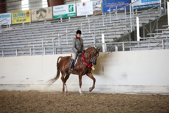 AHANC_Show18_FriPM_2089