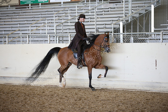 AHANC_Show18_FriPM_2019