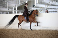 AHANC_Show18_FriPM_2020