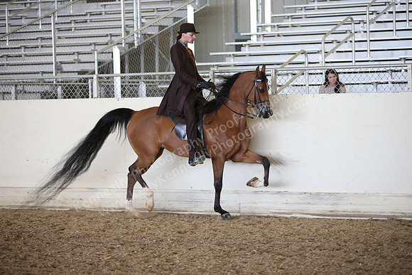 AHANC_Show18_FriPM_2020