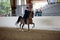 AHANC_Show18_FriPM_2021