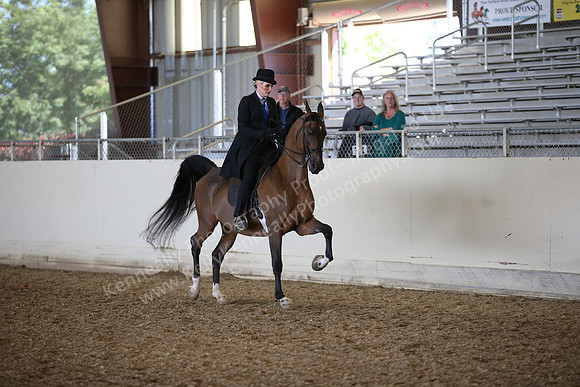 AHANC_Show18_FriPM_2021