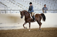 AHANC_Show18_FriPM_2104