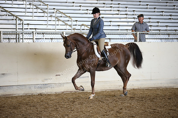AHANC_Show18_FriPM_2104