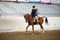 AHANC_Show18_FriPM_2105