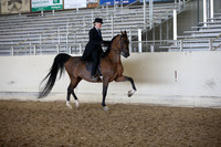 AHANC_Show18_FriPM_2023