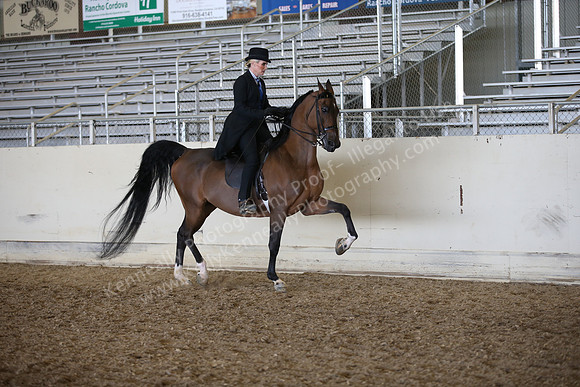 AHANC_Show18_FriPM_2023
