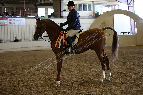 AHANC_Show18_FriPM_2107