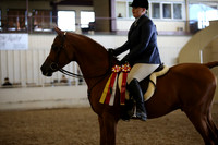 AHANC_Show18_FriPM_2109