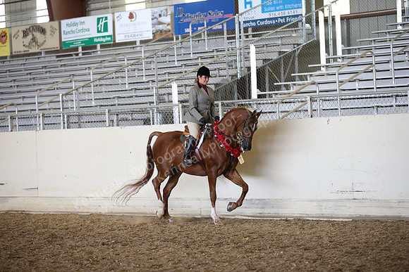 AHANC_Show18_FriPM_2090