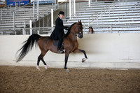 AHANC_Show18_FriPM_2024
