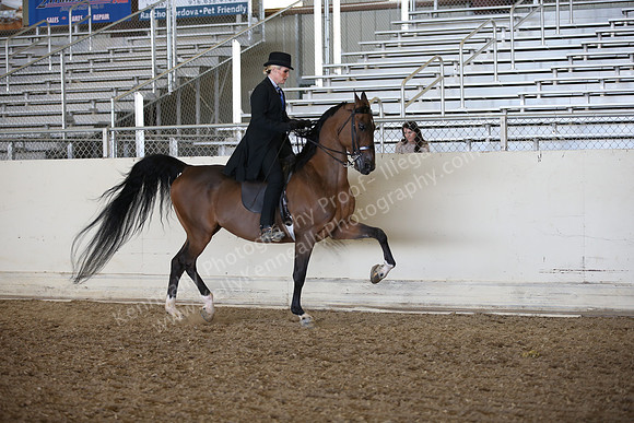 AHANC_Show18_FriPM_2024