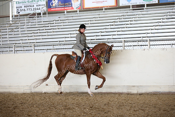 AHANC_Show18_FriPM_2092