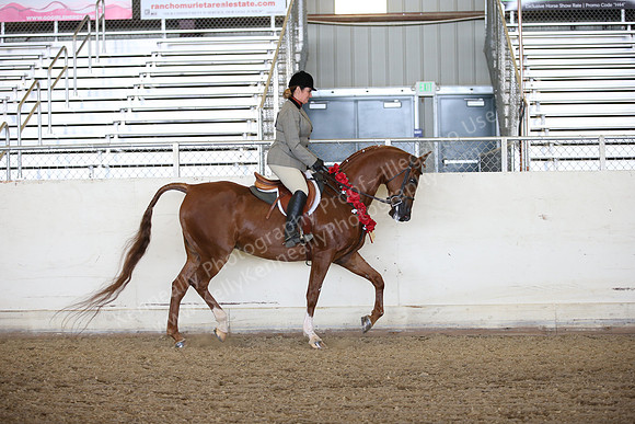 AHANC_Show18_FriPM_2094