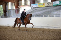 AHANC_Show18_FriPM_2144