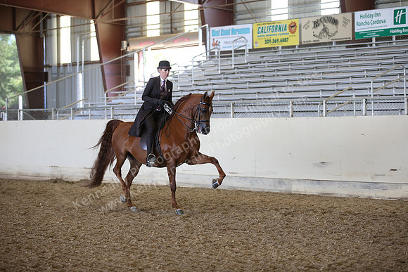 AHANC_Show18_FriPM_2144